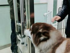 -宠福鑫康馨动物医院·骨科·眼科