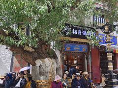 -古树酸奶(八廓南街店)