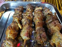 -民族烤羊·烤羊肉串·烤羊排(南城店)