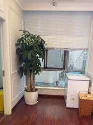 -武汉五洲整形外科医院