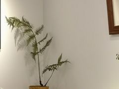 -漫笙舍Manse·咖啡·民宿