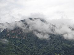 -六里坪国家森林公园