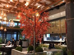 大堂-拈菜(观音桥阳光世纪店)