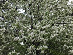 -山东师范大学(千佛山校区)