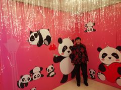 -339旋转餐厅(天府熊猫塔店)