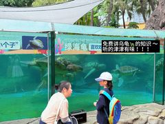 -海合安成都极地海洋公园