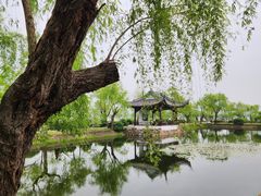-无锡蠡湖国家湿地公园-蠡园