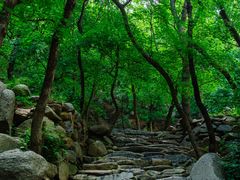 -天津盘山风景名胜区