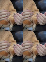 -M·X Nail日式美甲美睫