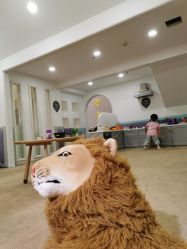 -meland club亲子乐园(重庆万象城店)