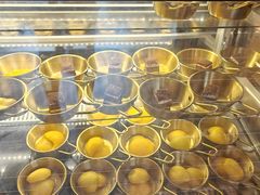 -野人部落(沈阳一店)