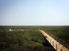 -北海金海湾红树林生态旅游区