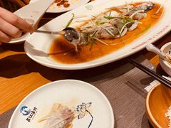 -丹江渔村(望京店)