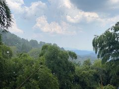 -莫干山风景区