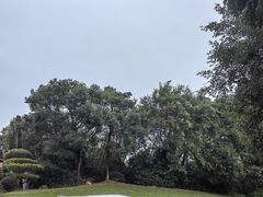 -深圳国际园林花卉博览园