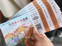 -西双版纳傣族园
