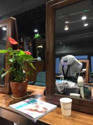 点击看大图 -MI HAIR