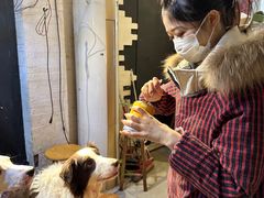 -萌喵宠狗爱心宠咖