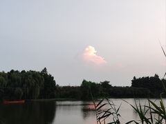 -合肥滨湖国家森林公园