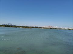-贡湖湾湿地公园