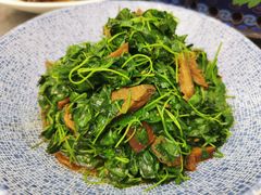 金花菜蚌肉-金典银峰老鹅馆·昆山菜(亭林公园店)
