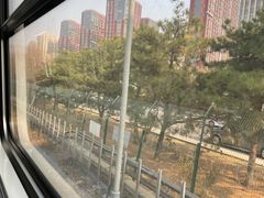 -望京西(地铁站)