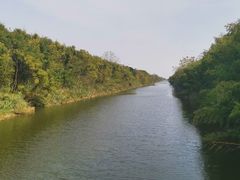 -黄海国家森林公园