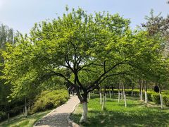 -西安汉城湖景区