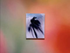 -旧金山现代艺术博物馆