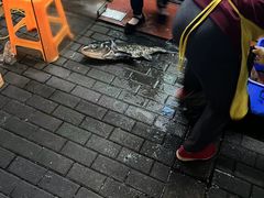 -全乐鱼馆·淳牌有机鱼直营店