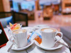 -广州奥园喜来登酒店