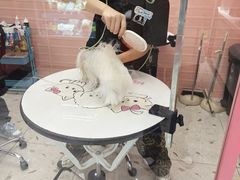 -FAELING PETS美天灵宠物(合生汇店)