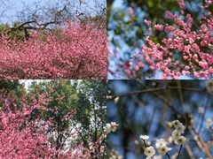 -宁波市保国寺古建筑博物馆