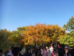 -香山公园-东宫门售票处