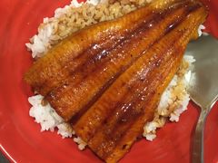 -食其家·牛丼咖喱(金桥太茂店)