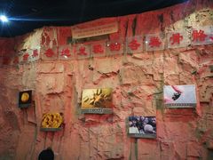 -中国西峡恐龙遗迹园