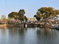 -无锡蠡湖国家湿地公园-蠡园
