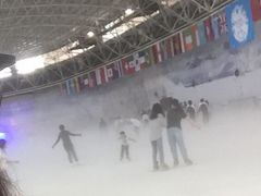 -世界之窗阿尔卑斯冰雪世界