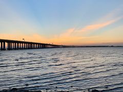 -宝安西湾红树林湿地公园