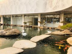 -罗红摄影艺术馆