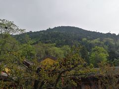 -华清宫景区