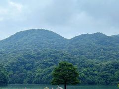-广州市石门国家森林公园