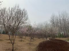 -仁和公园(顺义区)
