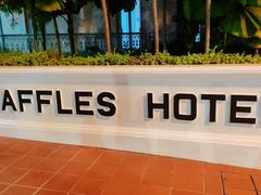 -Long Bar(莱佛士酒店)