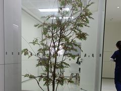 -极简口腔(总院)