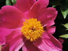 -永红源啤酒·烧烤·海鲜·大排档(青特城店)