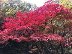 -龙道沟景区