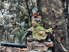 -梧桐山风景名胜区