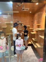 -神奇动物撸宠馆·羊驼·小浣熊·异宠(豫园店)