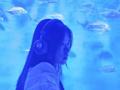 -哈尔滨波塞冬海底世界